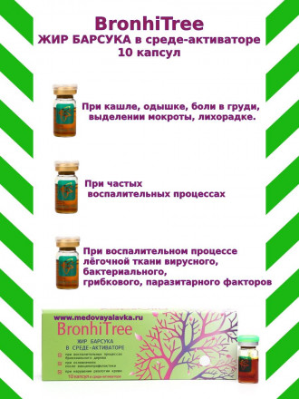 BronhiTree жир барсука в среде-активаторе 10 капсул. Бронхитри